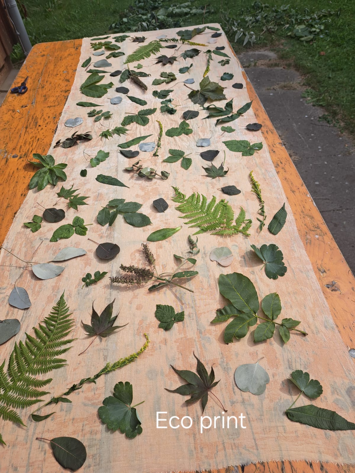 Ecoprint 1
