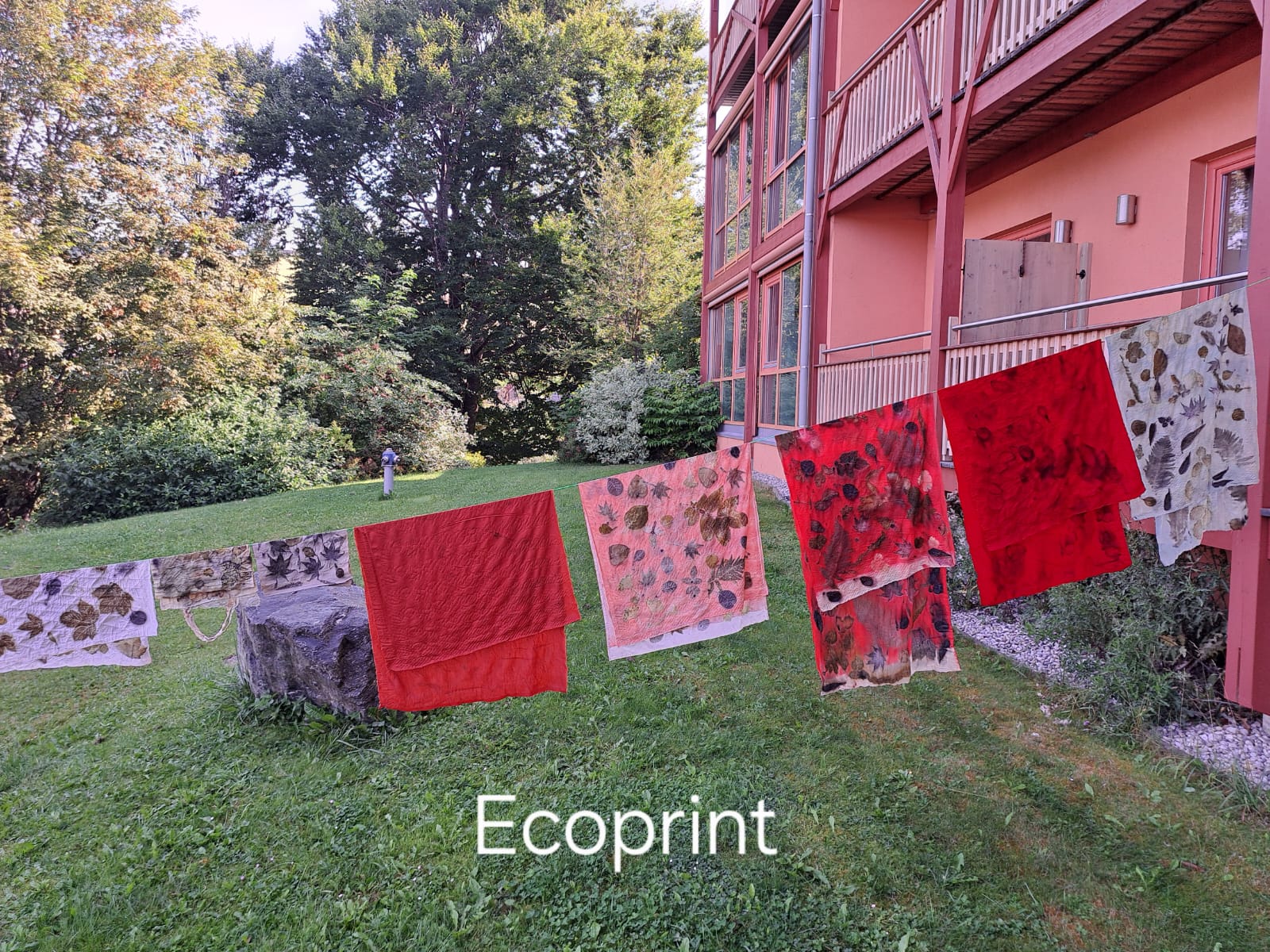 Ecoprint 3